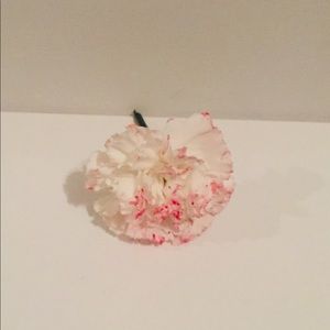 Meet your Posher, Eva